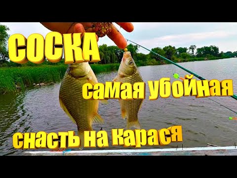 Видео: Самая убойная снасть на карася СОСКА. Сделай и будешь с рыбой всегда!