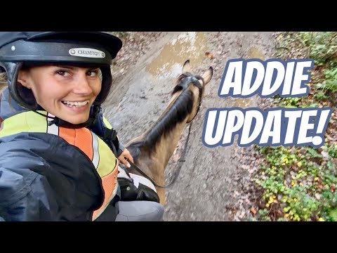 Видео: Обновление Эдди | Возвращение на борт