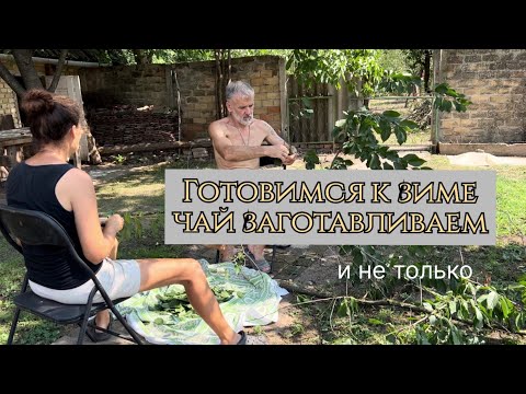 Видео: Переделали забор в сад #жизньзаграницей #переездвсербию #покупканедвижимости #сербия