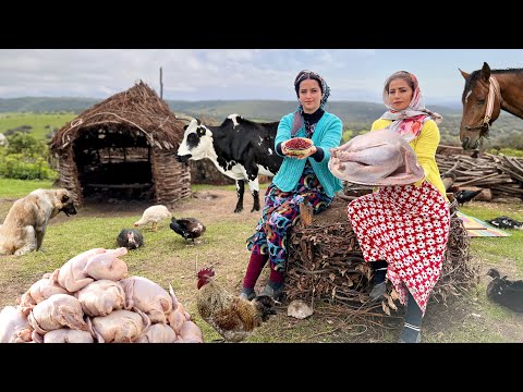 Видео: Семья иранских кочевников готовит индейку и курицу в живописных горах