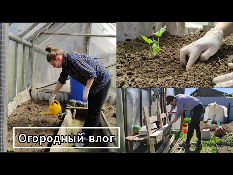 Видео: Что посадила в этом году🌾 | Делаем мини-грядки для зелени
