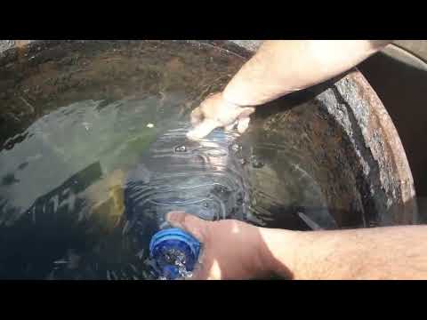 Видео: Смастерил поилку для гусят