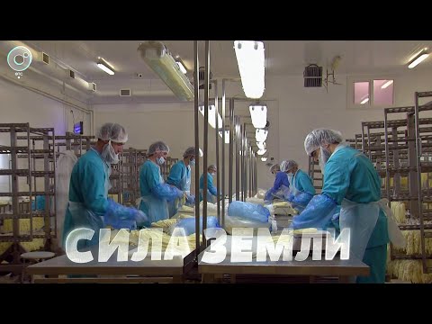 Видео: Программа "СИЛА ЗЕМЛИ" | 10 июня 2022 | Телеканал ОТС