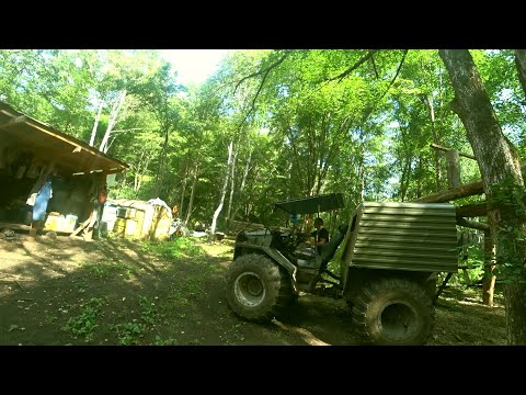 Видео: КРУГЛЫЙ ГОД В ТАЙГЕ.