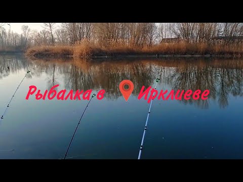 Видео: Рыбалка в 📍ИРКЛИЕВЕ