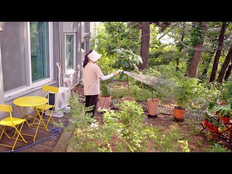 Видео: Мой сад с цветами🌼Создай очаровательный дачный сад