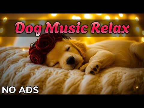 Видео: Музыка для терапии сна для собак 🐕 | Помогите вашему щенку расслабиться и увидеть сны 🐾