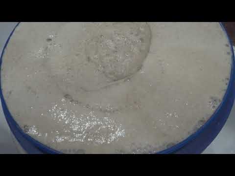 Видео: Брага из ржаной муки на ферментах по ХОС методу