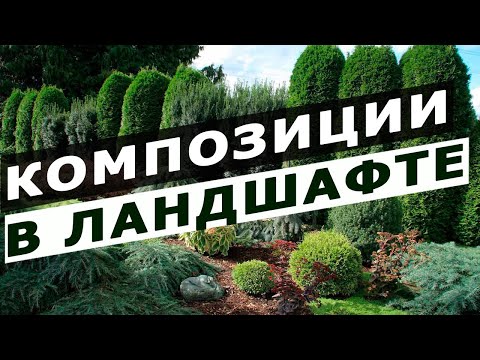 Видео: Композиции в ландшафтном дизайне. Правила формирования и виды композиций