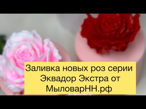 Видео: Мыловарение 😍 Заливка новых форм от МыловарНН.рф #soap #букетизмыла #мыловарение