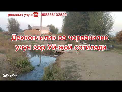 Видео: ☎️+998941112810 Тошкент вилоятида Уй сотилади