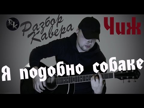 Видео: Я подобно собаке-ЧИЖ(Разбор кавера)