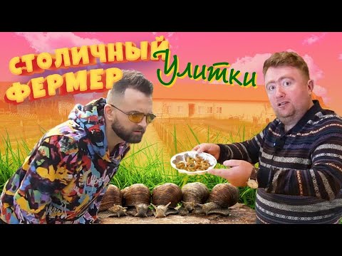 Видео: Улиточная ферма как успешный бизнес. Столичный фермер - 4 серия