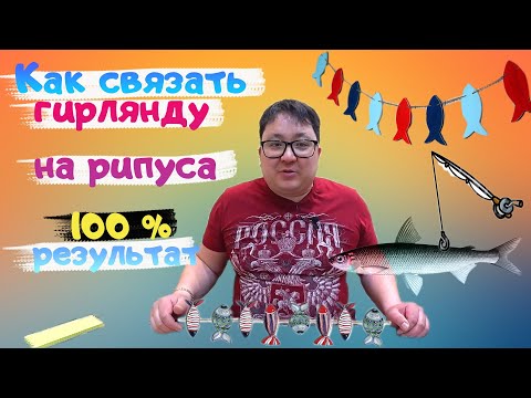 Видео: Как правильно связать ГИРЛЯНДУ на рипуса. Гирлянда рипус. Снасти на рипуса. fishing. Рипус Увильды.