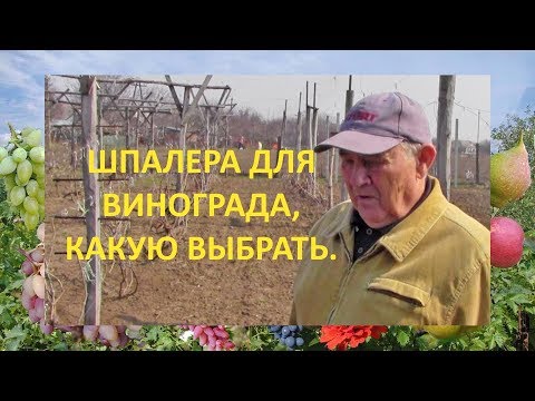 Видео: @Шпалера для винограда, какую выбрать  Опыт Якушенка В Е