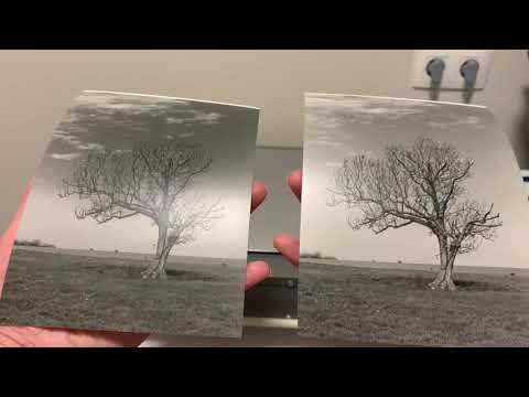 Видео: Сравниваем листовую пленку Fomapan 100 и Kodak 100TMax, большой формат 4х5