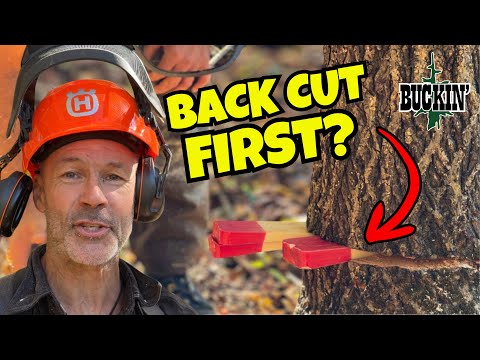 Видео: Один из ЛУЧШИХ методов рубки леса