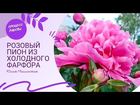 Видео: Процесс работы над розовым Пионом. Холодный фарфор