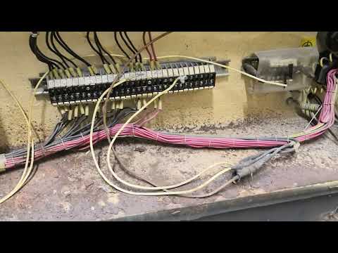 Видео: Мои будущие красавцы 3д642е и 3е642 