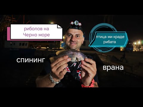 Видео: РИБОЛОВ на ЧЕРНО МОРЕ ! ПТИЦА МИ ОТКРАДНА РИБА! ХВАНАХ ВРАНА на СПИНИНГ !