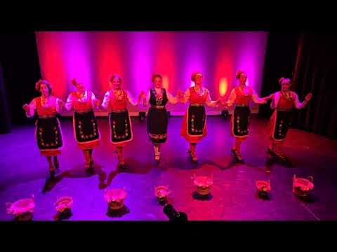 Видео: "From Laak with love" Българска роза - розобер 26.10.2024