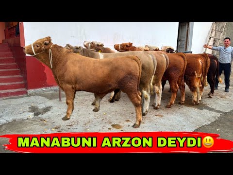 Видео: MANABUNI ARZON DESA BO’LADI✅✅✅31 октября 2025 г.