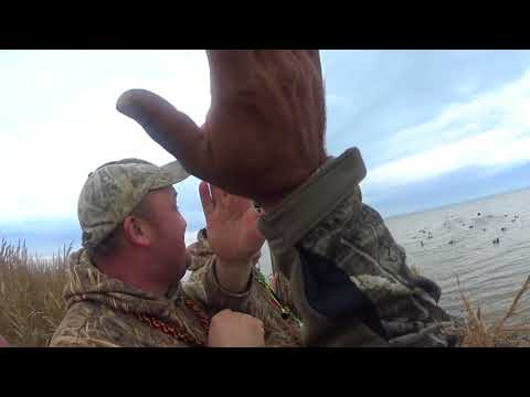 Видео: Охота на утку с духовыми манками!