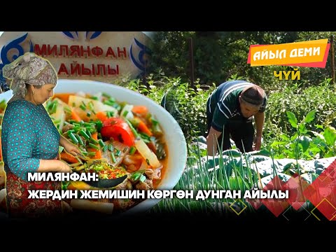 Видео: Милянфан: Жердин жемишин көргөн дунган айылы // АЙЫЛ ДЕМИ берүүсү