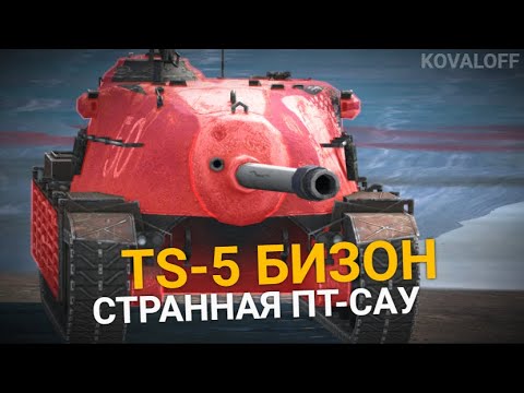 Видео: ЭТА ПТ-САУ МЕНЯ УДИВИЛА - КУПИЛ TS-5 БИЗОН | TANKS BLITZ