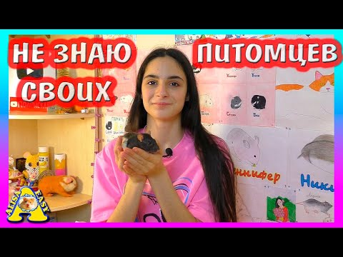 Видео: Угадываем наших питомцев / Распаковка посылок от подписчиков / Alisa Easy Pets