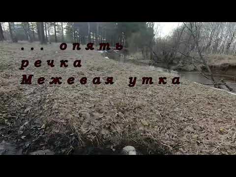 Видео: Посёлок Висим. Весна 2020 года. Часть 2.