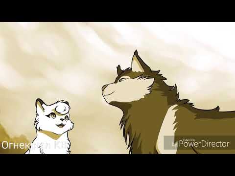 Видео: {Коты-Воители}||▪□Белогривка□▪||[Киса хочет мяу]||~Заказ~