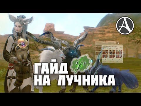 Видео: ГАЙД НА ЛУЧНИКОВ В ARCHEAGE. ШМОТ, ГРАВЫ, СБОРКИ, БИЛДЫ | HAWKEYE