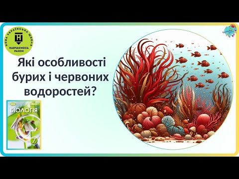 Видео: Які особливості бурих і червоних водоростей