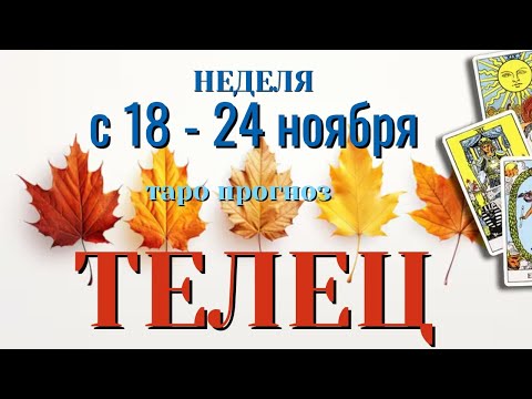 Видео: ТЕЛЕЦ 🍁🍁🍁 НЕДЕЛЯ с 18 - 24 НОЯБРЯ 2024 года Таро Прогноз ГОРОСКОП