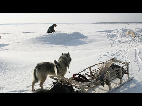 Видео: Счастливые люди | Енисей | Зима (серия 4) | Дмитрий Васюков