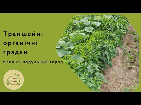 Видео: Траншейні органічні грядки. Блочно-модульний город. Огляд у липні. Мій досвід