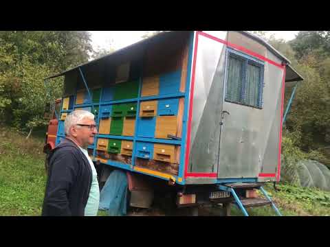 Видео: #переездзаграницу #пчеловодство ТАЙНЫ ПЧЕЛОВОДА СЕРБИИ.