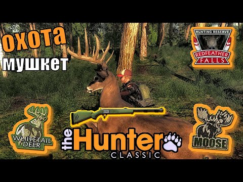 Видео: Запоминающаяся Охота С Мушкетом В The Hunter Classic