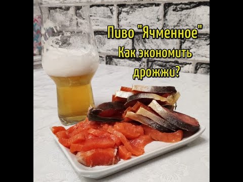 Видео: Как экономить дрожжи? Пиво "Ячменное". Очень простой светлый лагер! Эксперимент с дрожжами.