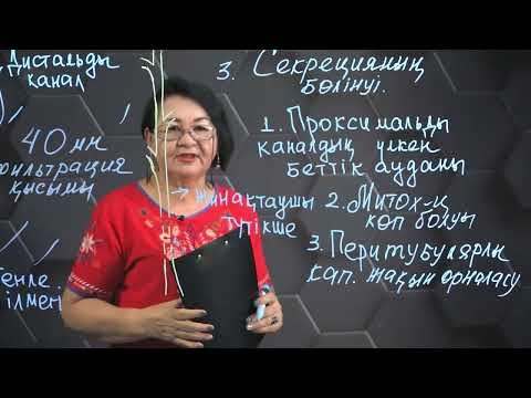 Видео: Абсорбция және реабсорбция. Зәрдің түзілуі. 2 бөлім. 10 сынып.