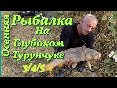 Видео: Рыбалка на Днестре,,Глубокий Турунчук,,Осенний карп радует (Продолжение следует)#рыбалка 2023