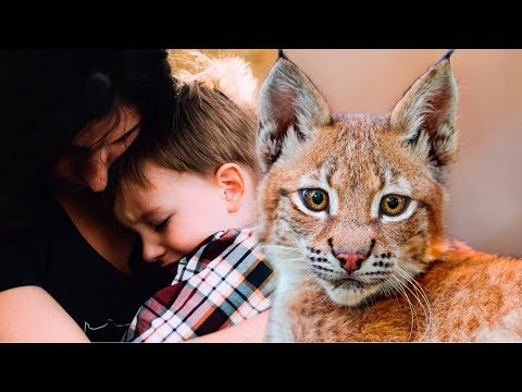 Видео: Мама плакала, когда увидела что отважный РЫСЁНОК сделал для её сына