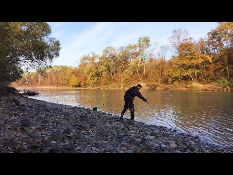 Видео: РЫБАЛКА НА КУБАНИ В ОКТЯБРЕ!!! РАЗВЕДКА НОВЫХ МЕСТ!!!