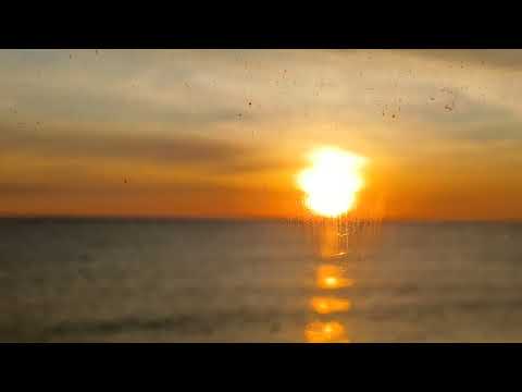 Видео: НовостиХреновости-Лихорадка Денге в Москве.Мигранты метают ножи и топоры в москвичей.