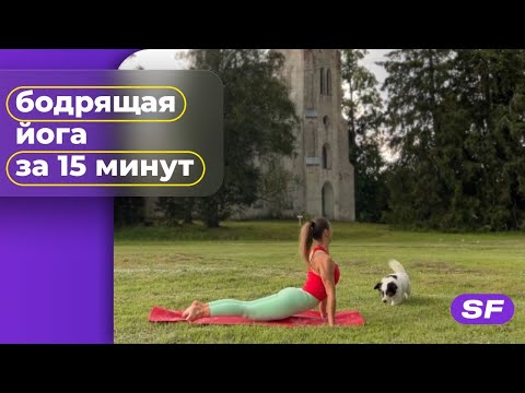 Видео: Универсальная йога на все тело с Викторией Поспеловой