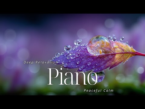 Видео: Спокойные, умиротворяющие мелодии для сна и снятия стресса
