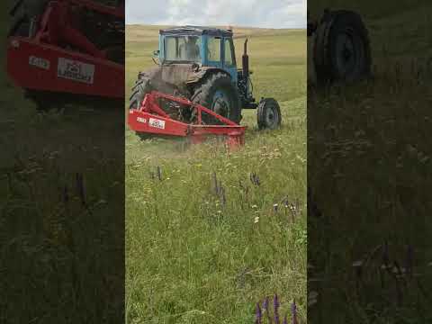 Видео: Даже сравнивать не стоит !