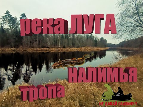 Видео: река ЛУГА , НАЛИМ рыбалка в декабре