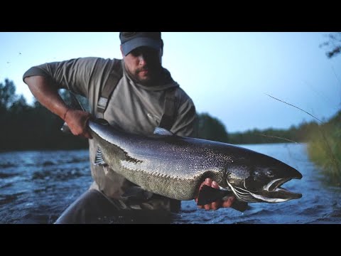 Видео: Путешествие на Север. Рыбалка нахлыстом, друзья и сломанные удочки
